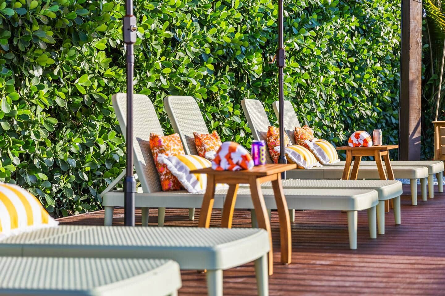 A row of sun loungers with cushions, a wooden table, and a hedge in the background.