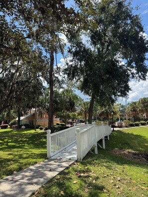 Property grounds - a 4/2 cozy apt near UF and Shands Hospital (Gainesville)