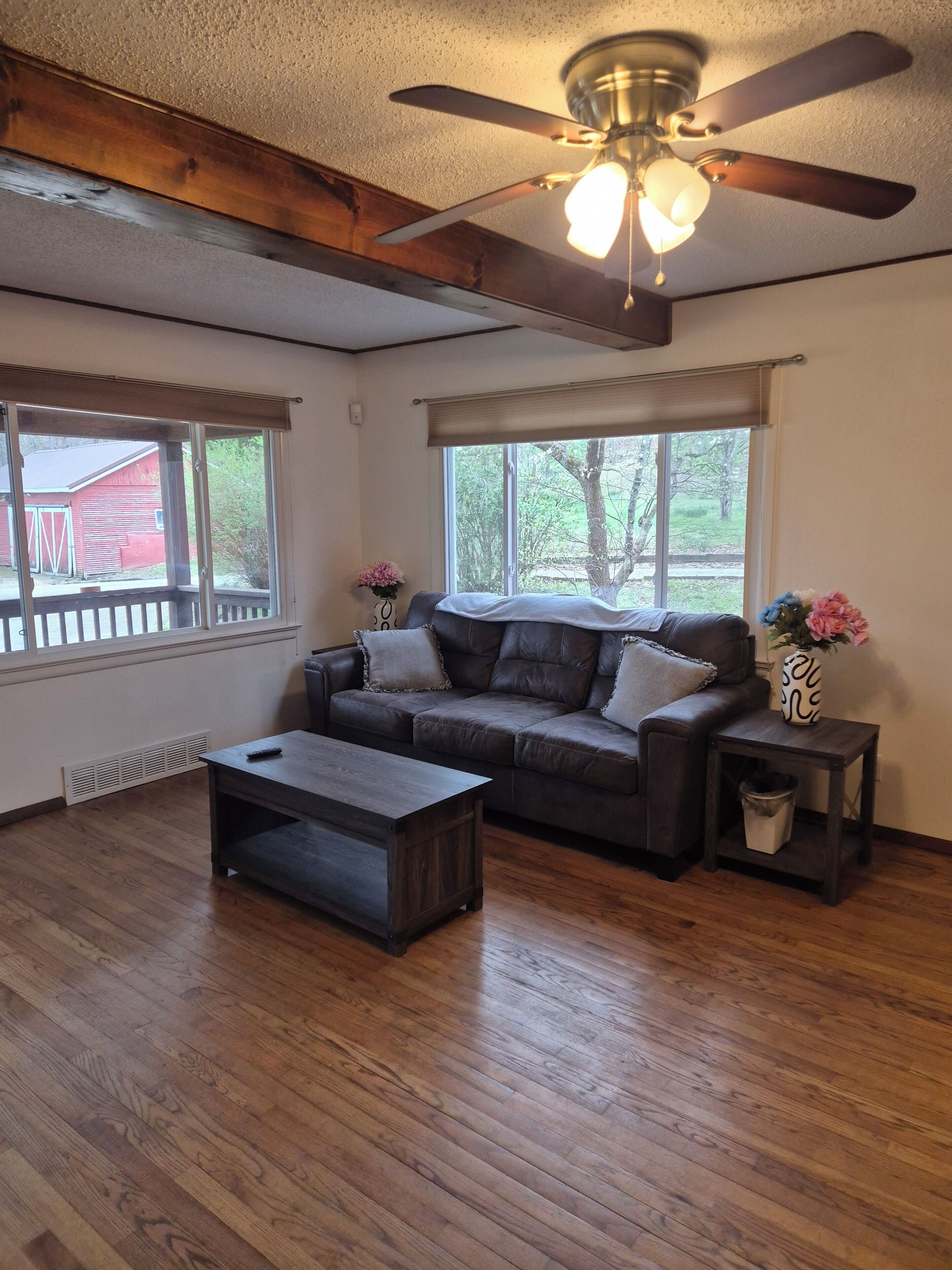 Televisión y chimenea 