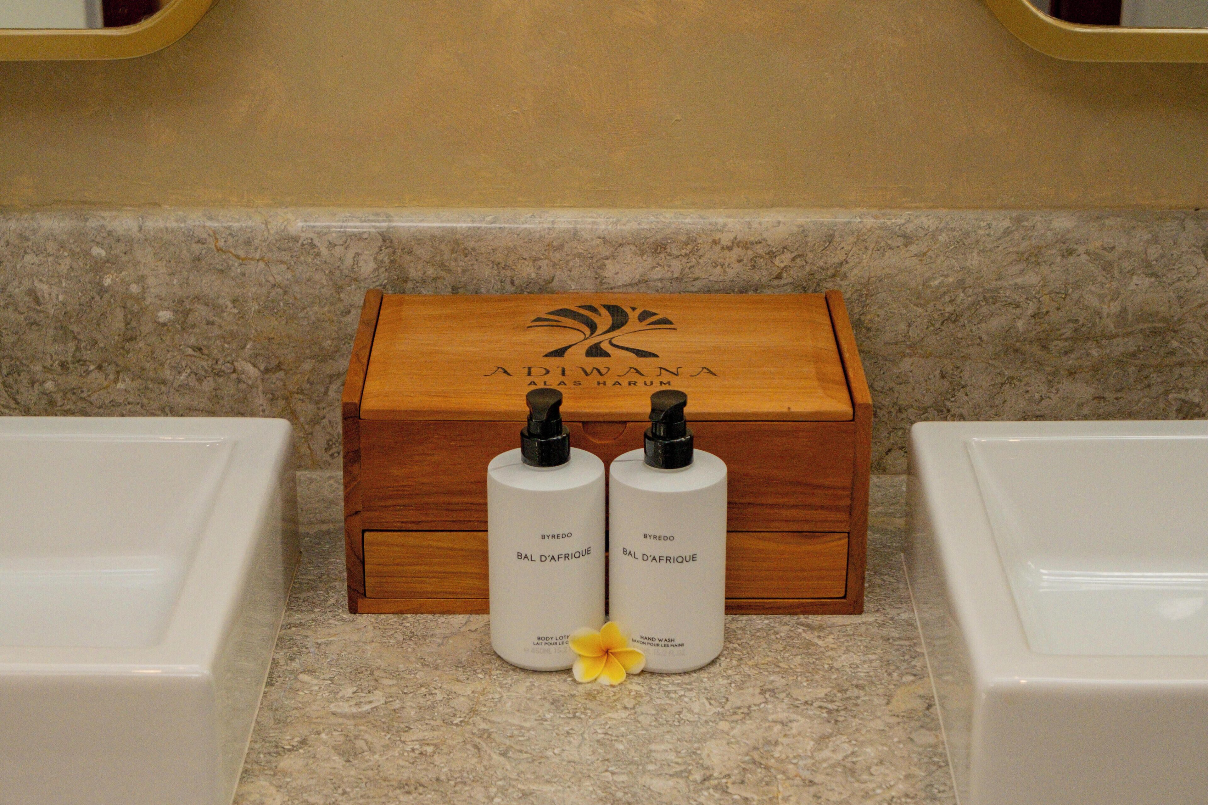 Chambre exécutive, 1 chambre, vue sur le jardin | Commodités de la salle de bain | Articles de toilette (gratuits), séchoir à cheveux, peignoirs