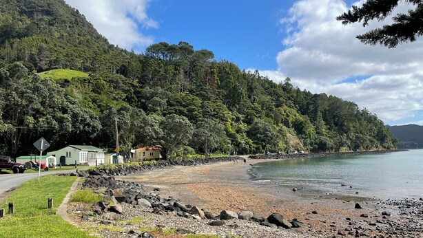 A beach with a grassy area, a rocky shoreline, and a backdrop of dense forest and hills. - Entire home in Auckland, New Zealand (Auckland)