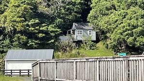 A wooden bridge over a small stream, leading to a house surrounded by lush greenery. - Entire home in Auckland, New Zealand (Auckland)