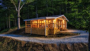 A wooden cabin with a porch, windows, and a ladder.