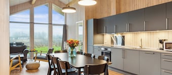 Spacious holiday home on Als near Little Belt