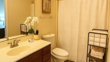 Shower, hair dryer, bidet, towels