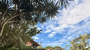 A swimming pool surrounded by lush greenery and a building with a patterned wall. - Entire home in Florianópolis, Brazil near Lagoa, Mole and Joaquina (Lagoa da Conceição)