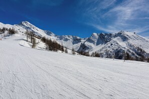 Deportes de invierno y ski