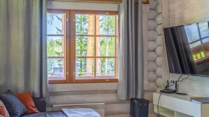 Une pièce confortable avec une grande fenêtre, un téléviseur à écran plat, un canapé et un radiateur.