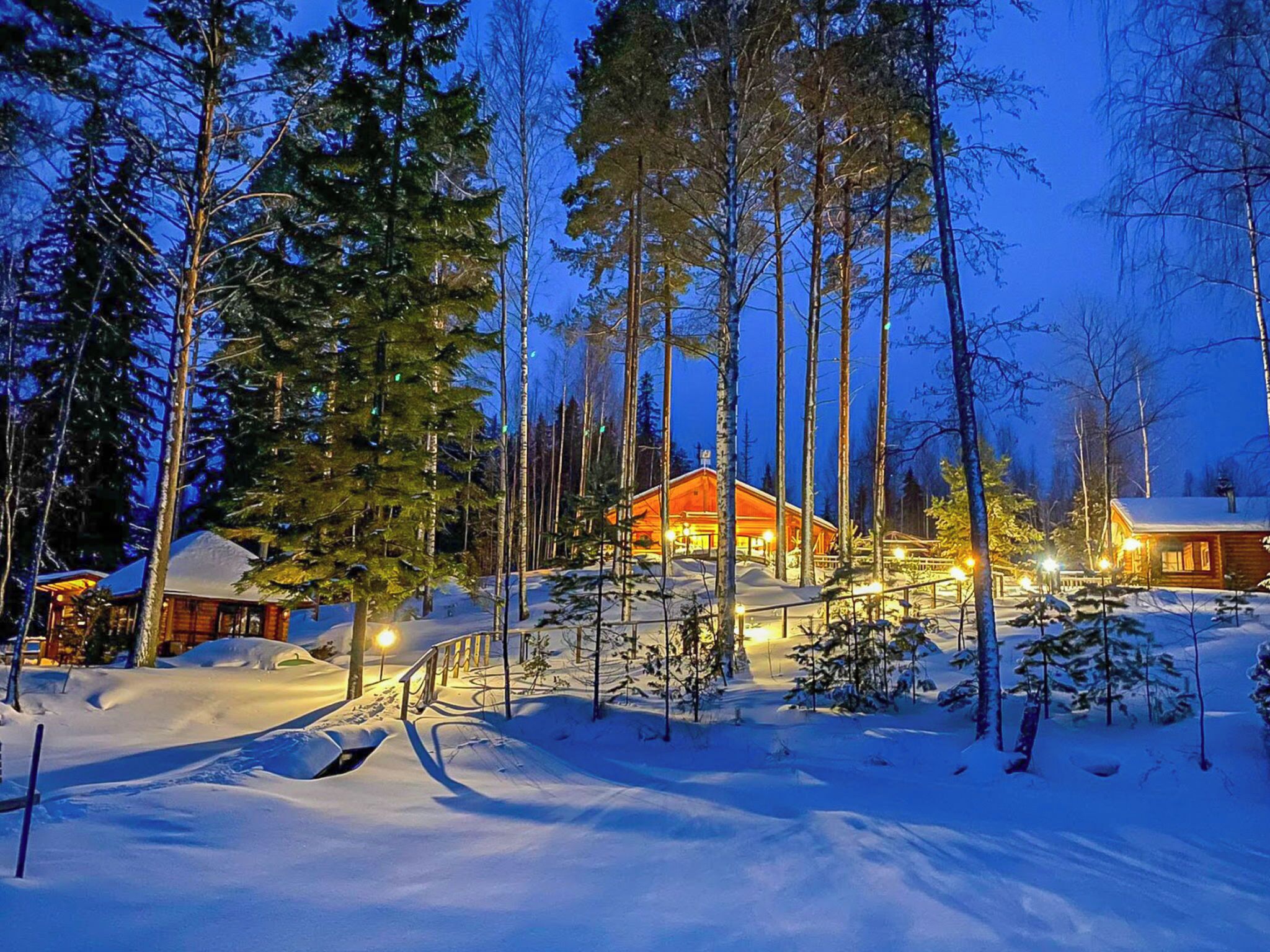 A log cabin surrounded by tall pine trees, with snow on the ground and a clear sky.