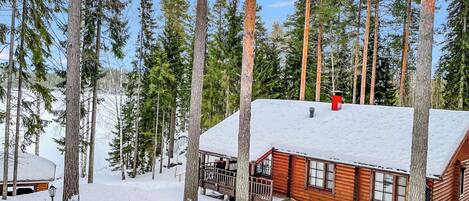 Una cabana amb un teulat cobert de neu, envoltada d'altes pinedes.