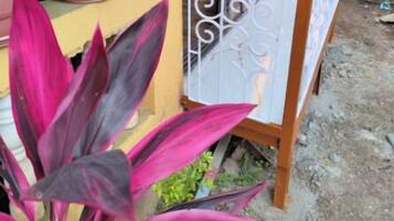 Standard Room | Balcony