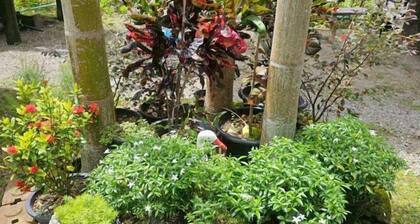 Banna Cafe & Glamping
