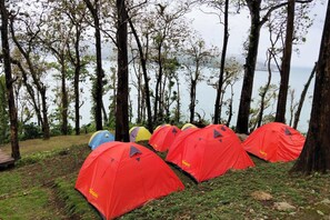 Vista desde la propiedad