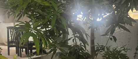 Mặt tiền nơi lưu trú