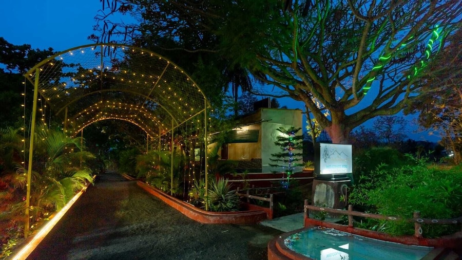 The Whistling Pine Woods