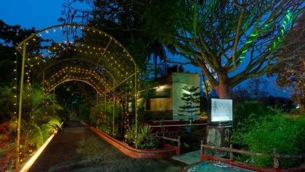 Un camí amb una piscina de fons de vidre, envoltat de vegetació i una tanca de fusta.