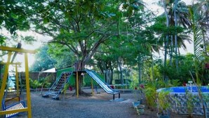 Un terrain de jeux avec des toboggans et des balançoires, entouré d’arbres et agrémenté de plantes en pot.