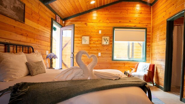 Unit 9-Violet-Green Swallow (The Marilyn Monroe Cabin)
