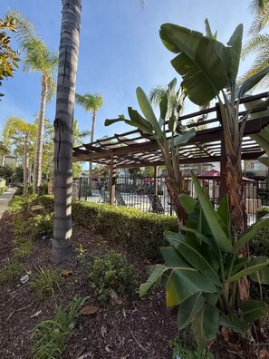 Property grounds - Home Sweet Home (Chula Vista)