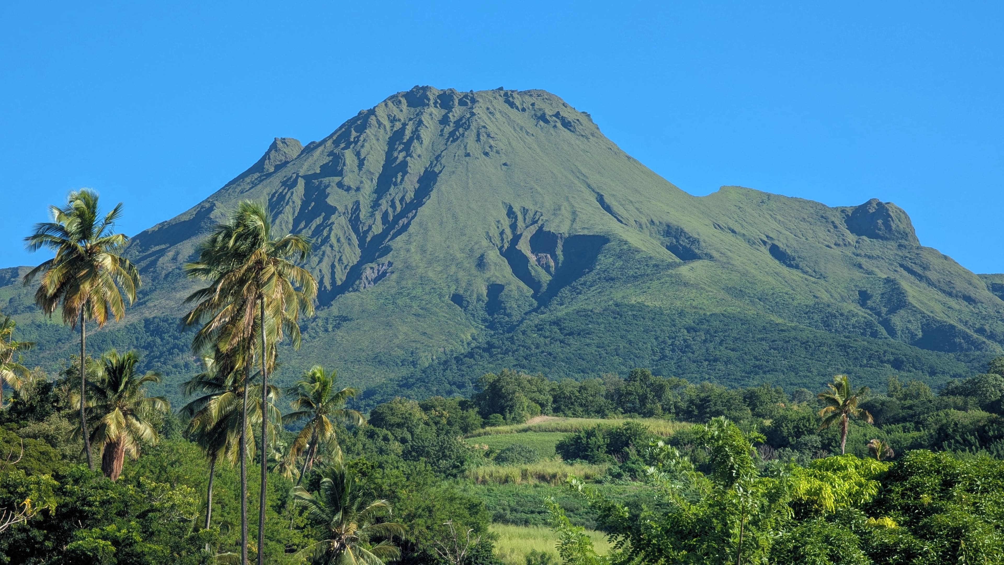 A mountain with a clear sky, surrounded by lush greenery and palm trees.