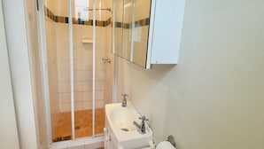 A bathroom with a shower, a sink, a toilet, and a mirror. - Studio Room Ensuite Bathroom with Separate Entrance (Woolloongabba)