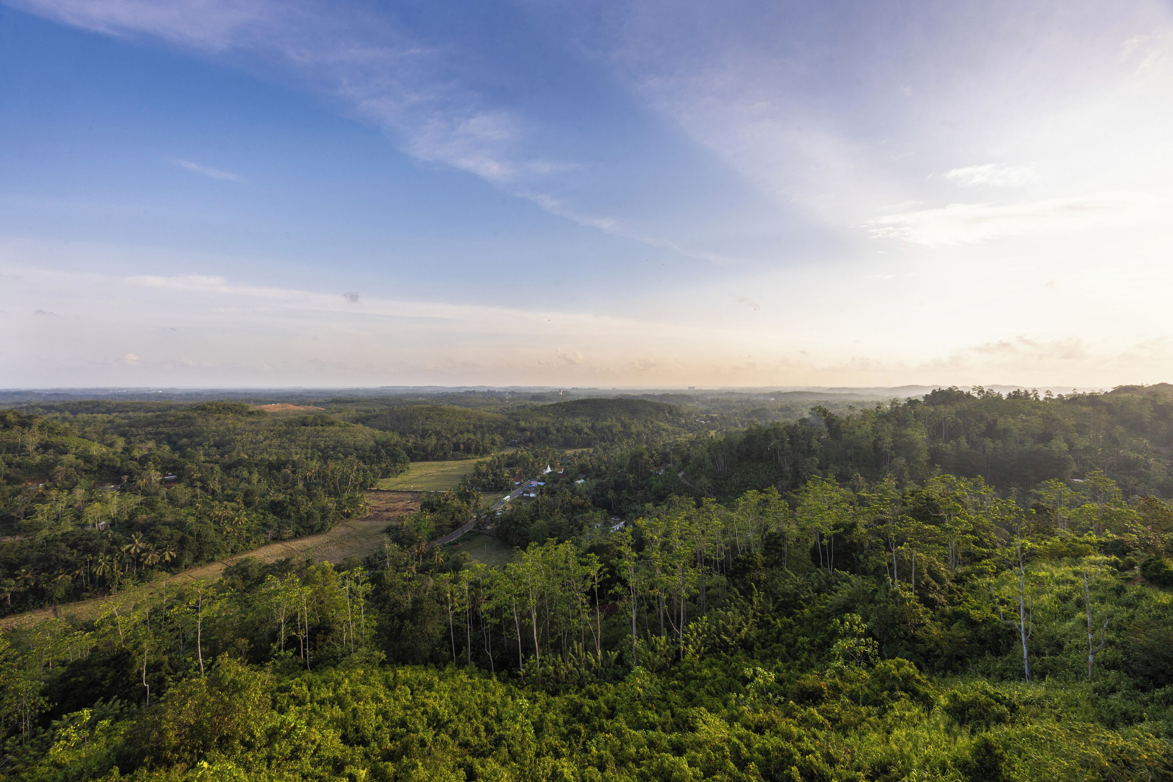 A forested landscape with a clear sky and distant horizon.