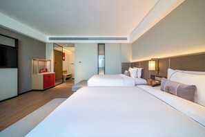 Business Double Room, City View | Desk, laptop workspace, free WiFi