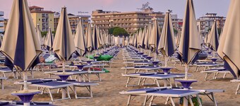 Sunny retreat near the sea-Beahost