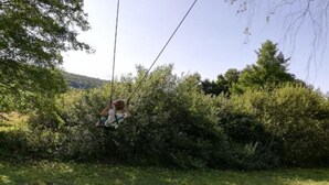 A person on a zip line in a natural setting with dense vegetation and trees.