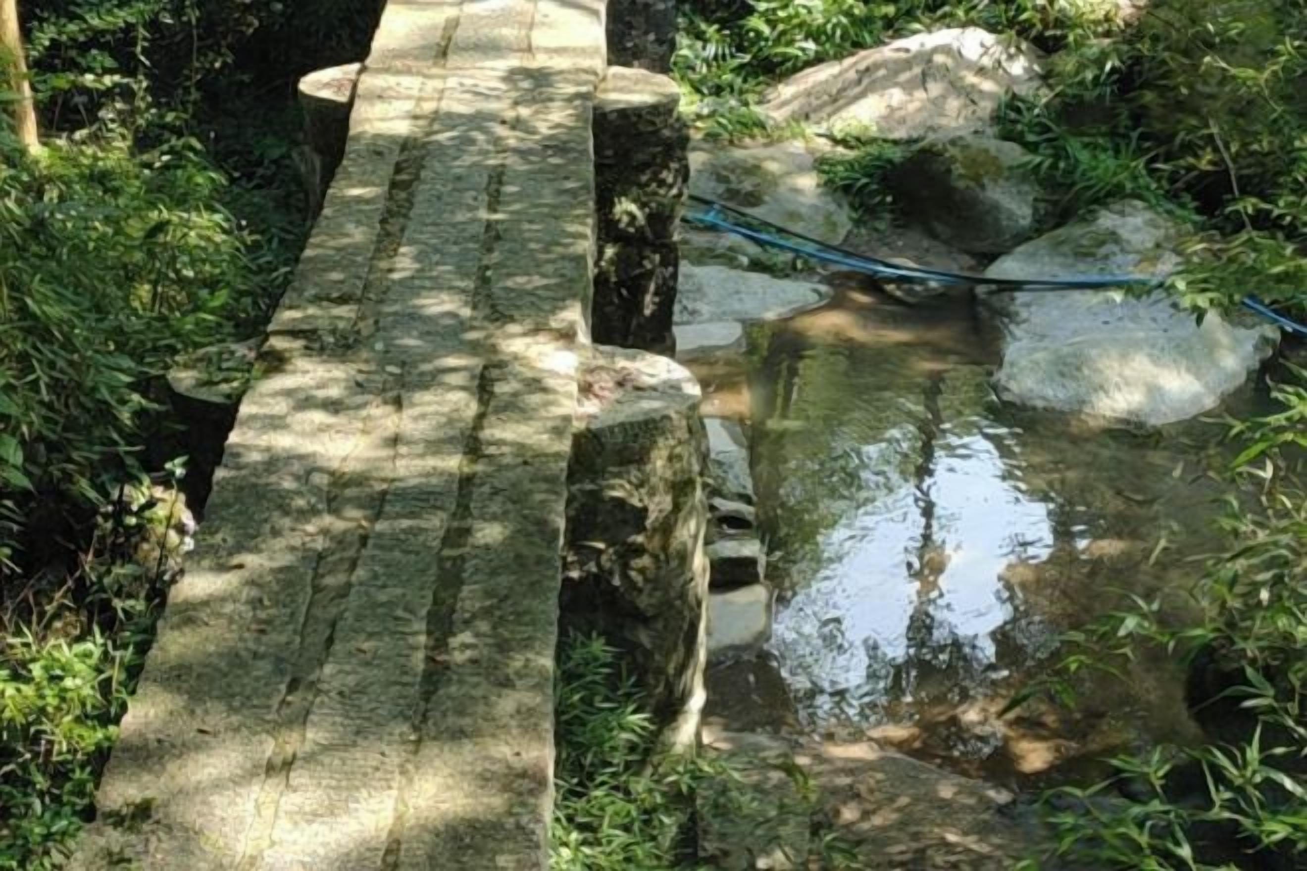 Un puente de piedra sobre un arroyo, con abundante vegetación alrededor.