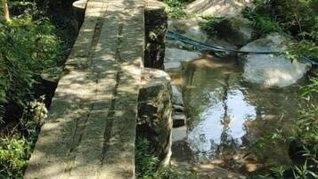 Un puente de piedra sobre un arroyo, con abundante vegetación alrededor.