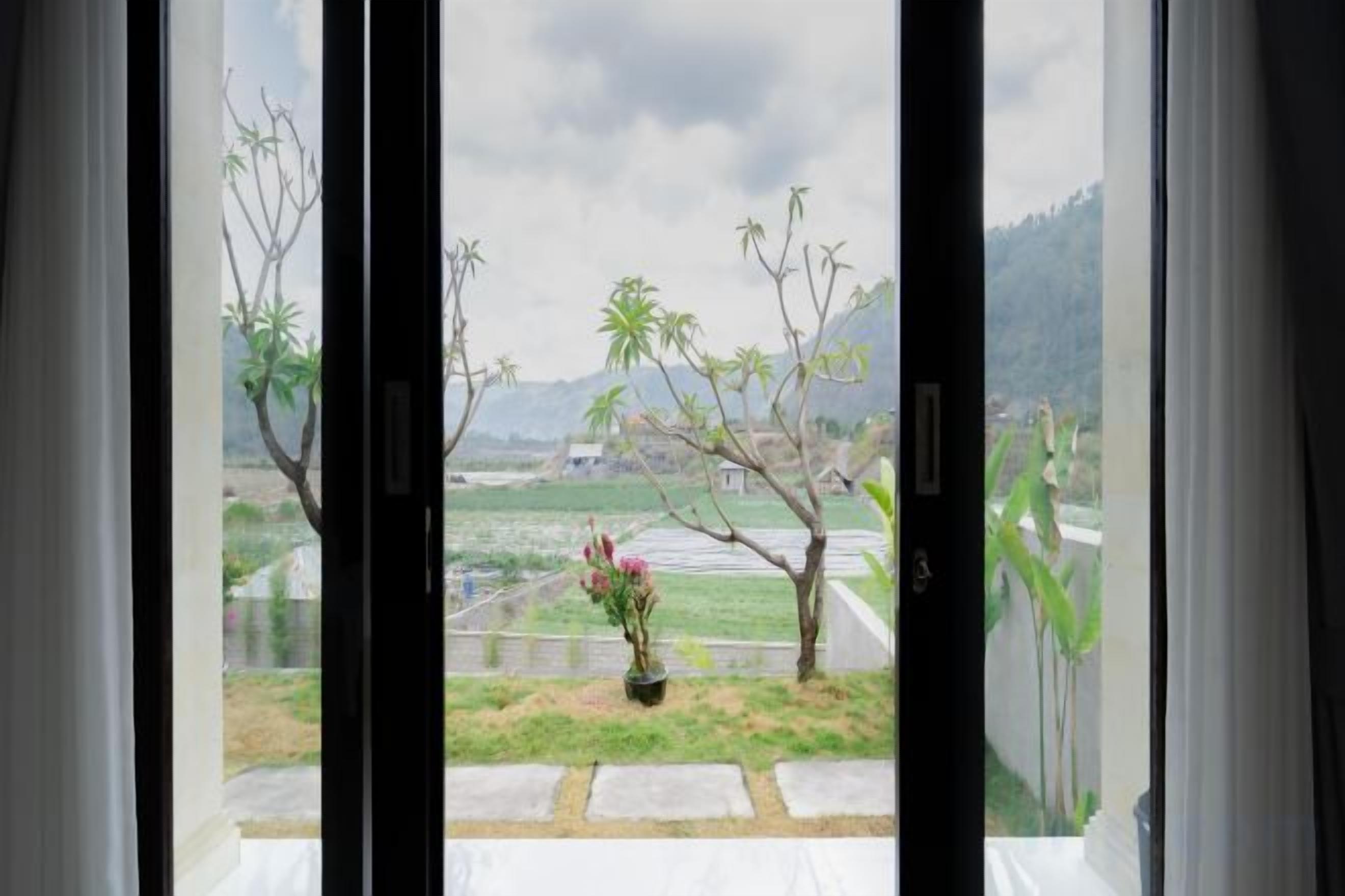 A view through a glass door with a potted plant and a small garden area.