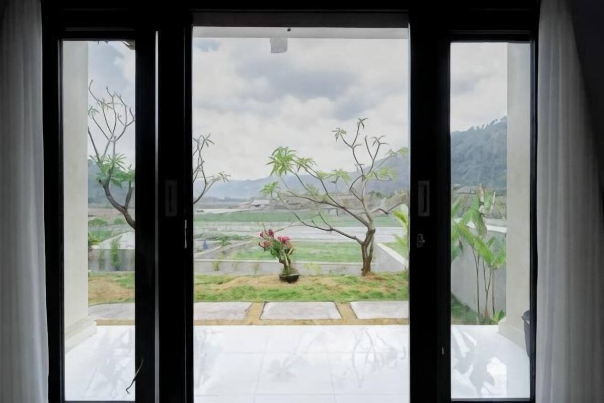 A view through a glass door with a potted plant and a landscape with trees and mountains.