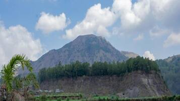 A mountain with a forested peak and a clear sky.