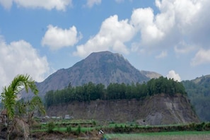 A mountain with a forested peak and a clear sky. - Batur Kencana Villa Mitra RedDoorz (Bali)