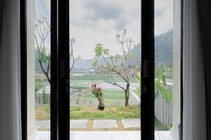 Vistas desde el alojamiento