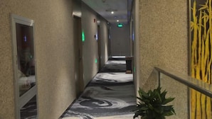 A hallway with doors, a patterned carpet, and a plant.