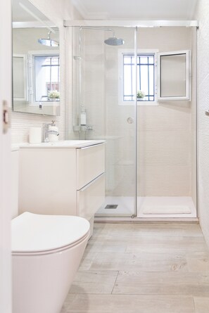 Assecador de cabells, tovalloles, sabó i paper higiènic 