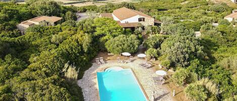 Seasonal outdoor pool, pool umbrellas, pool loungers