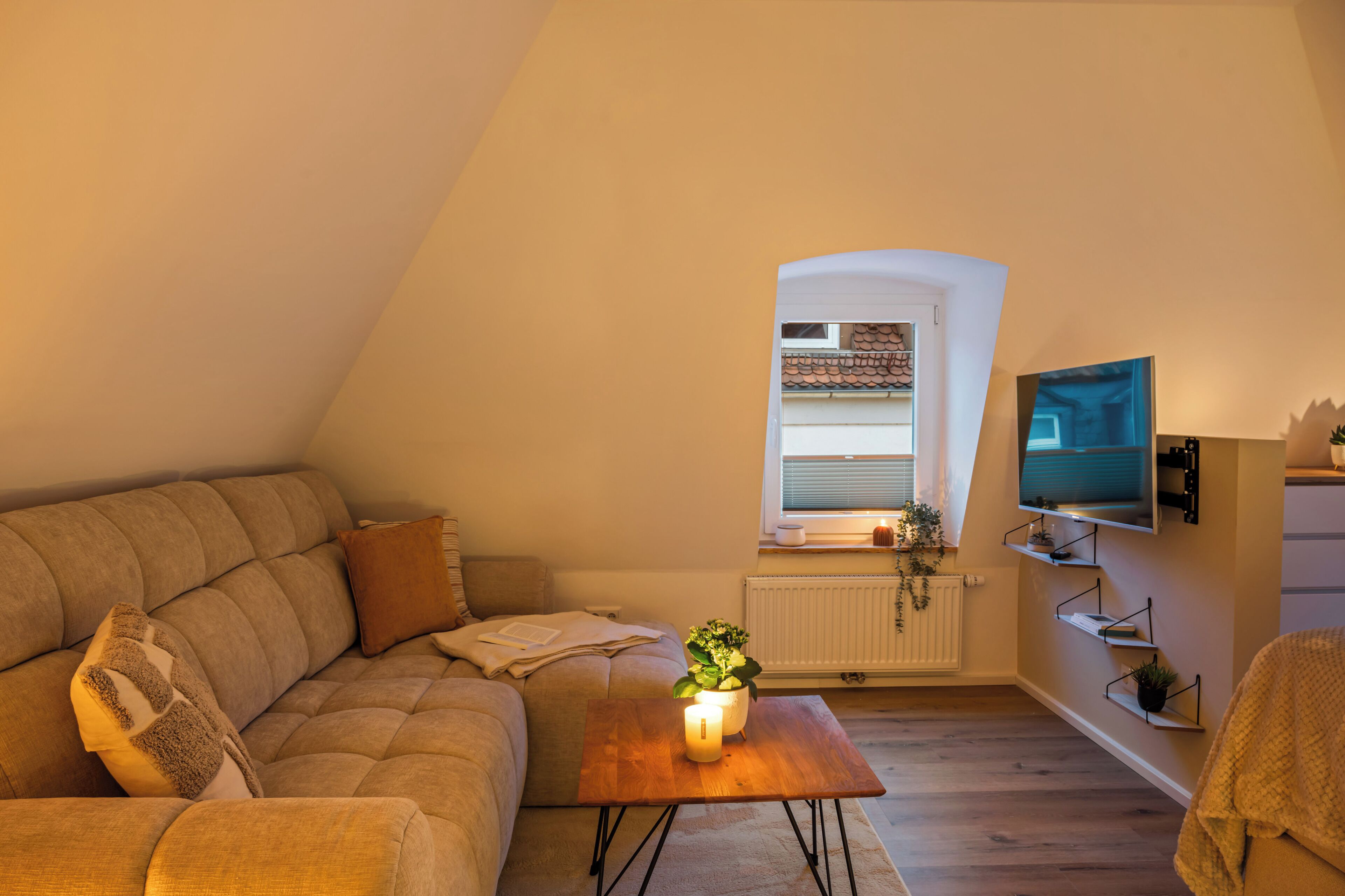 A cozy living room with a sofa, a coffee table with a plant, a TV mounted on the wall, and a window with blinds.