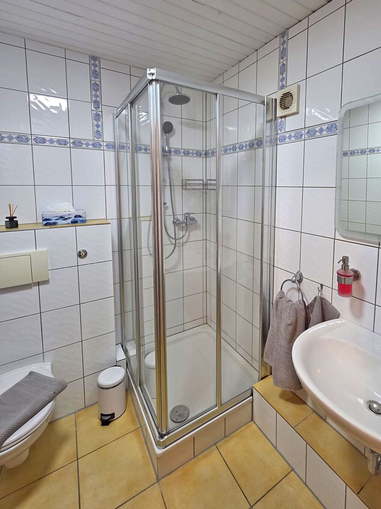 Shower, towels, soap, toilet paper