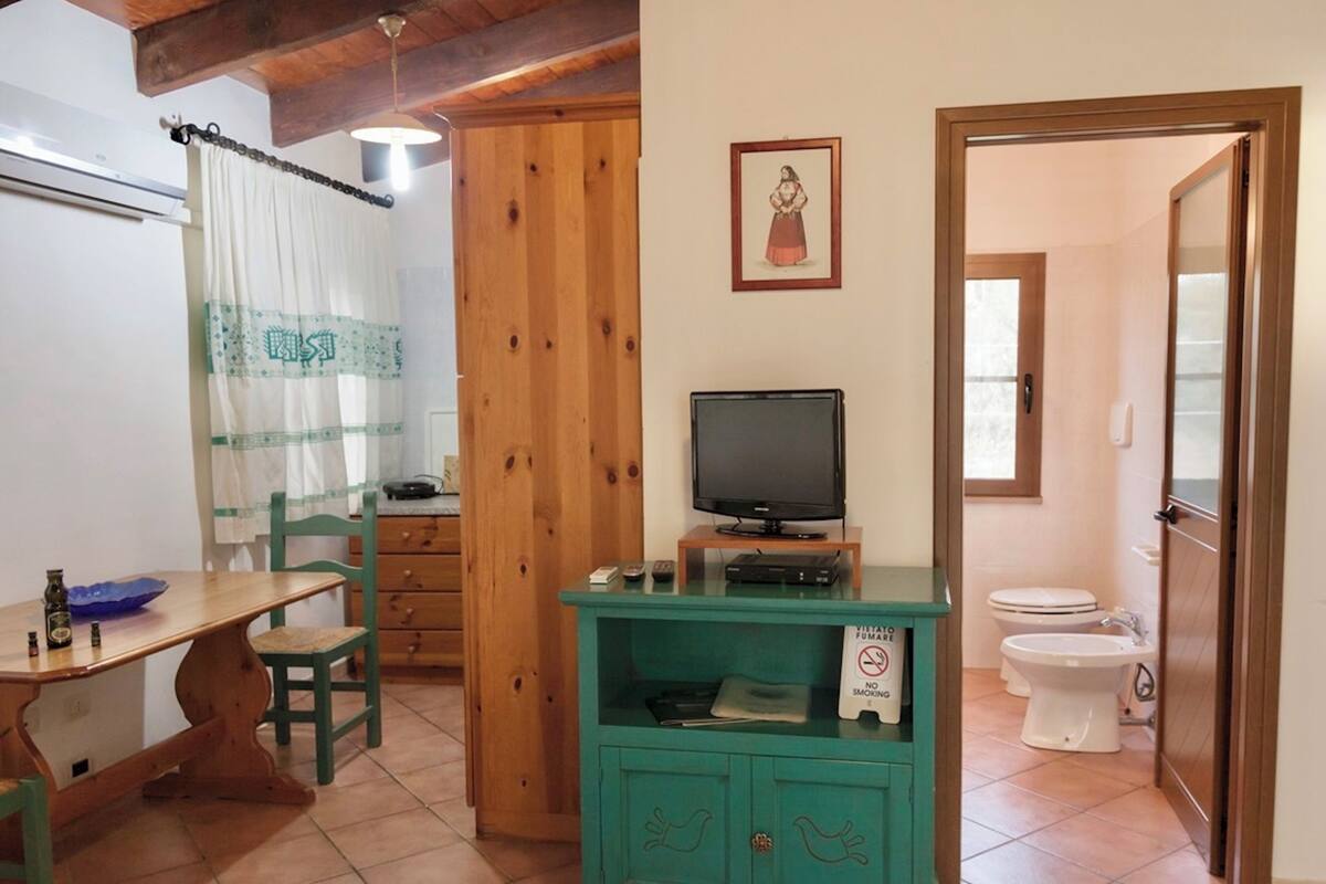 A small, cozy room with a wooden ceiling, a television on a stand, a teal cabinet with a "No Smoking" sign, a wooden door, and a white toilet.