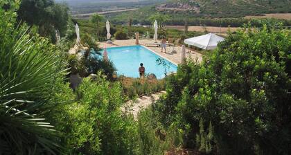 Residence with swimming pool near Alghero