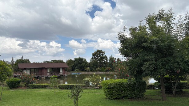 Eine friedliche Seelage mit einem Holzhaus, üppigem Grün und blauem Himmel.