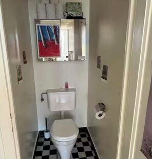 Hair dryer, towels, soap, toilet paper - Amazing botanical flat with terrasse (Genève)