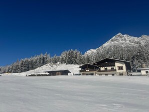 Esterni