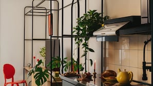 A modern kitchen with a black metal rack, a red chair, and various plants. - Brassbell | DT | Hannaux | Tahrir Sq (Cairo)