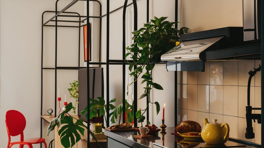 Brassbell | DT | Hannaux | Tahrir Sq