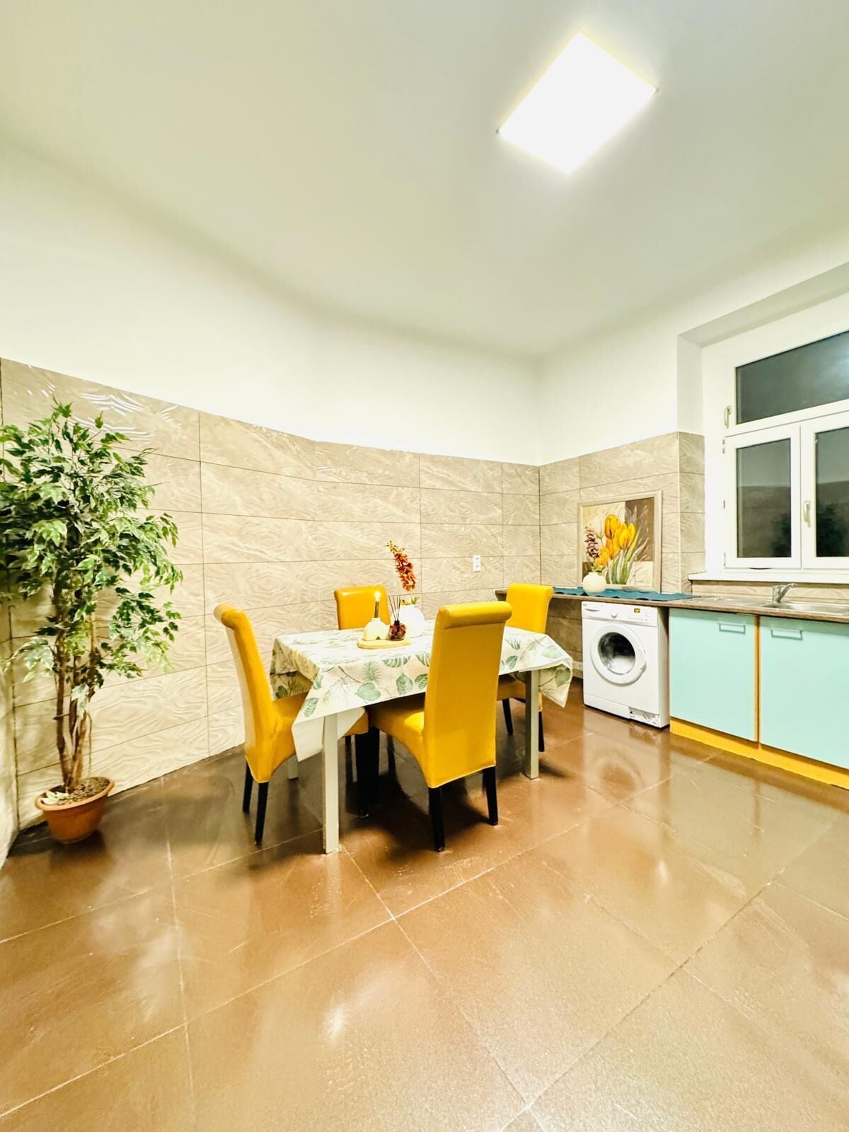 Basic Apartment | Private kitchen | Fridge, microwave, oven, stovetop