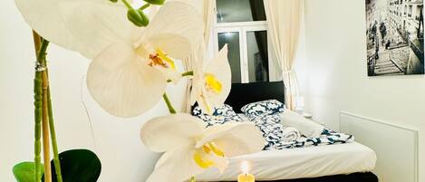 شقة بتجهيزات أساسية | مكواة/لوح كي